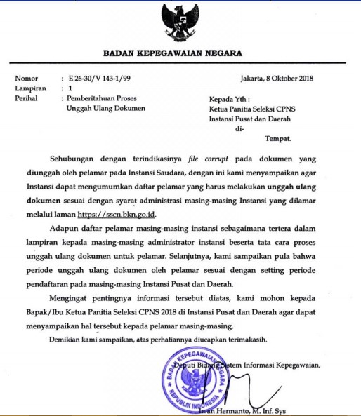 cek ulang pendaftaran CPNS