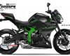 Kawasaki Ninja ZX-25R